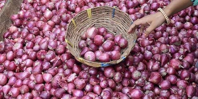 bl10-onion–2-GK56QTRGJ3jpgjpg