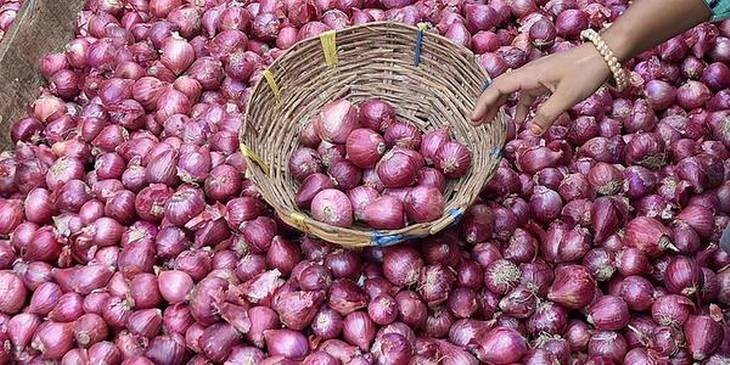 bl10-onion–2-GK56QTRGJ3jpgjpg